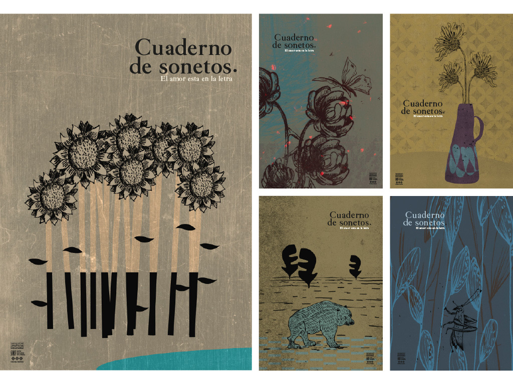 Pelikanor_Begoña Jordá